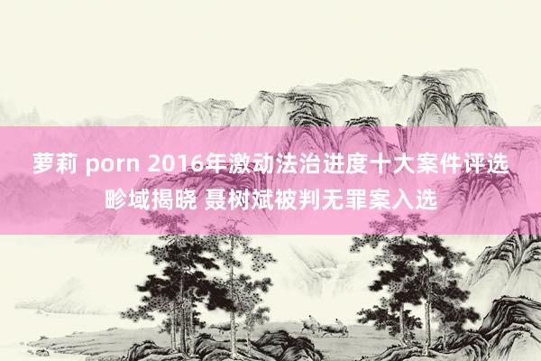 萝莉 porn 2016年激动法治进度十大案件评选畛域揭晓 聂树斌被判无罪案入选