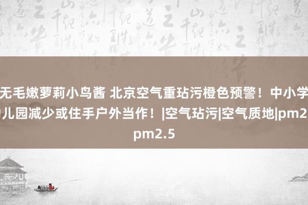 无毛嫩萝莉小鸟酱 北京空气重玷污橙色预警！中小学幼儿园减少或住手户外当作！|空气玷污|空气质地|pm2.5