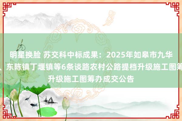 明星换脸 苏交科中标成果：2025年如皋市九华镇、白蒲镇、东陈镇丁堰镇等6条谈路农村公路提档升级施工图筹办成交公告