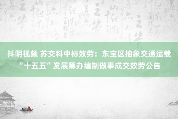 抖阴视频 苏交科中标效劳：东宝区抽象交通运载“十五五”发展筹办编制做事成交效劳公告
