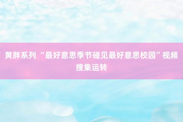 黄胖系列 “最好意思季节碰见最好意思校园”视频搜集运转